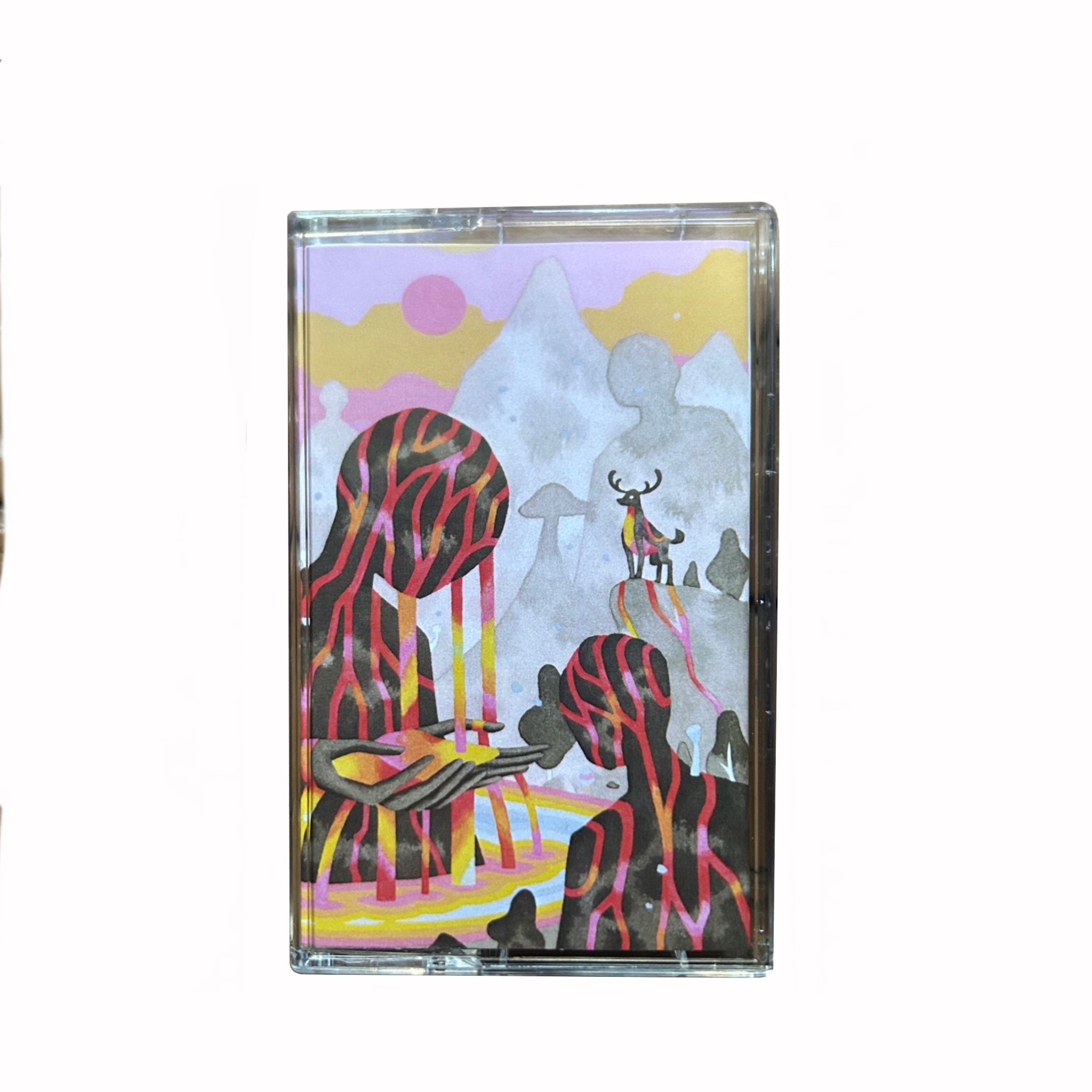 CASSETTE RIZOMA rosa, AUSTIN TV